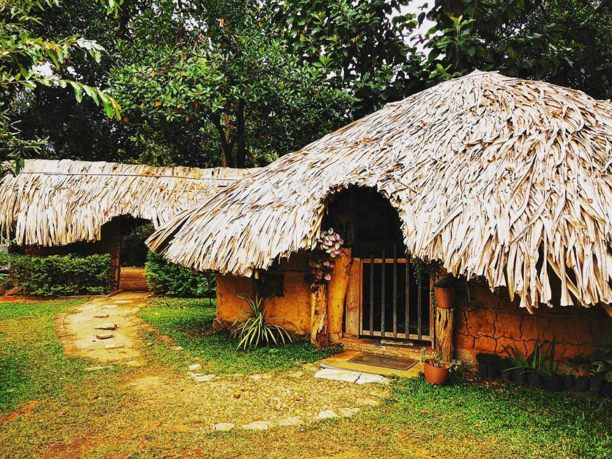 Hasthi Safari Cottage Udawalawe Exteriör bild