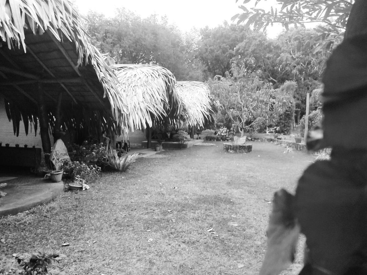 Hasthi Safari Cottage Udawalawe Exteriör bild