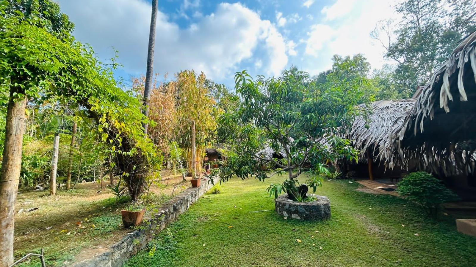 Hasthi Safari Cottage Udawalawe Exteriör bild