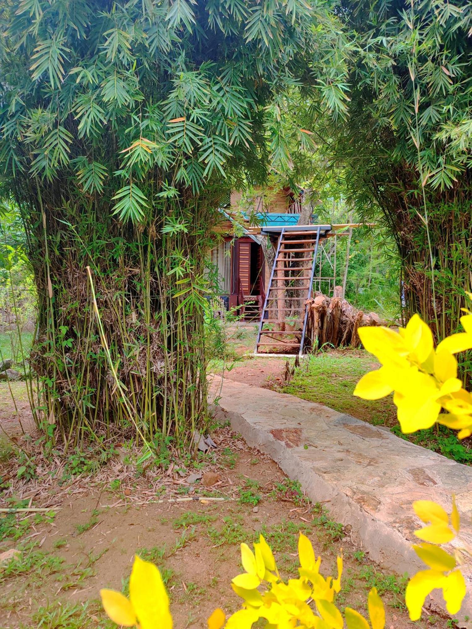Hasthi Safari Cottage Udawalawe Exteriör bild