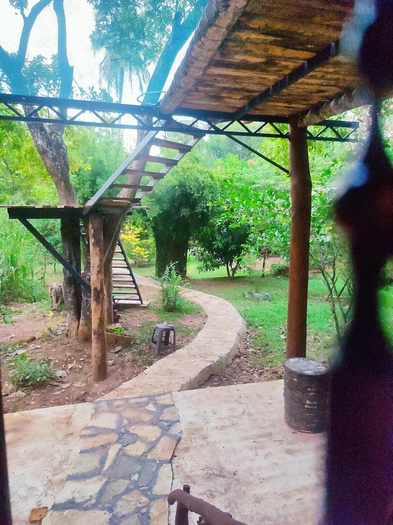 Hasthi Safari Cottage Udawalawe Exteriör bild