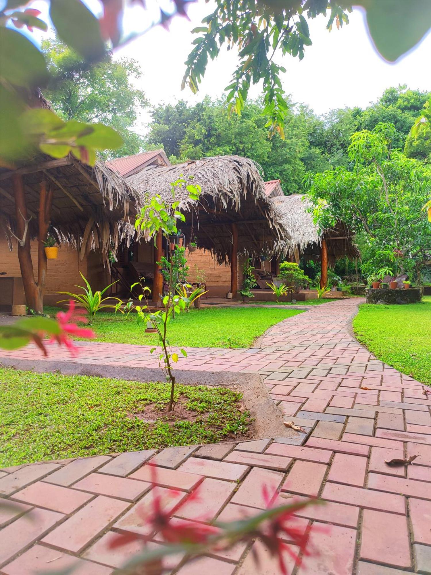 Hasthi Safari Cottage Udawalawe Exteriör bild