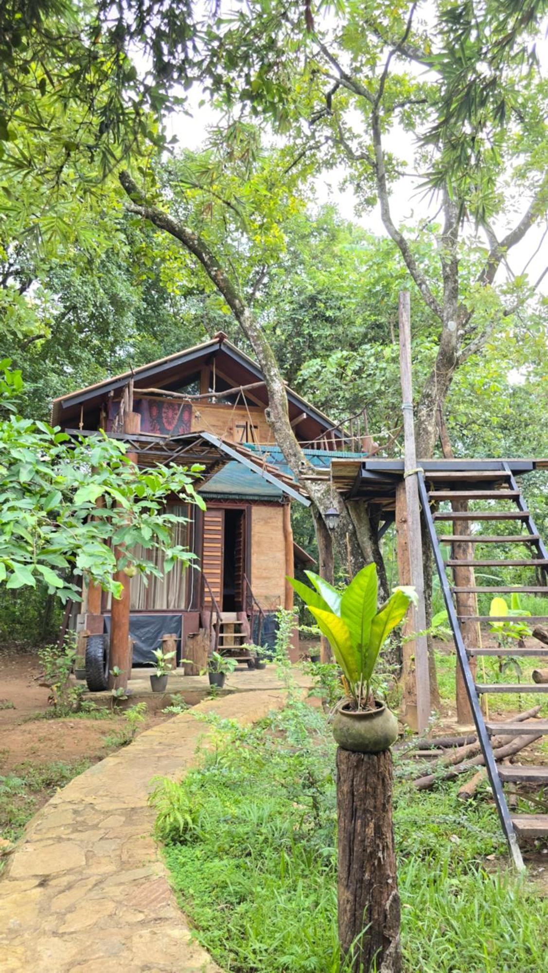 Hasthi Safari Cottage Udawalawe Exteriör bild